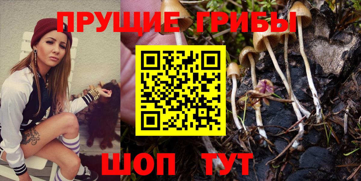 Псилоцибиновые грибы MAGIC MUSHROOMS Лянтор